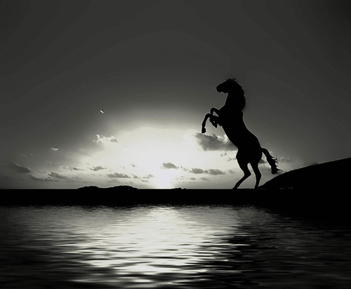 T-H.S RING GOLD/STONE