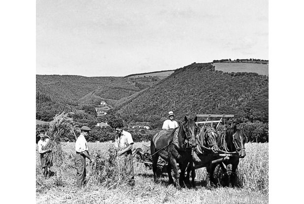 TENDERLOIN RING 買取強化！