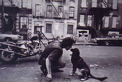 T-3RD DENIM カットオフ